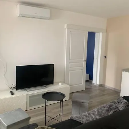 Appartement Logement Pres De L'ol Stadium